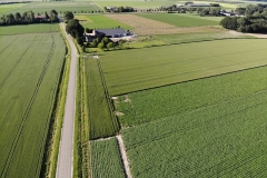 akkerbouwgewassen-rondom-boerderij