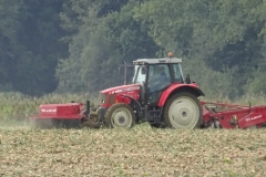 uien-rooien-vaeldekeijzer